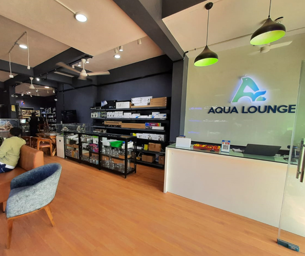 http://Aqua%20lounge%20and%20Distribution